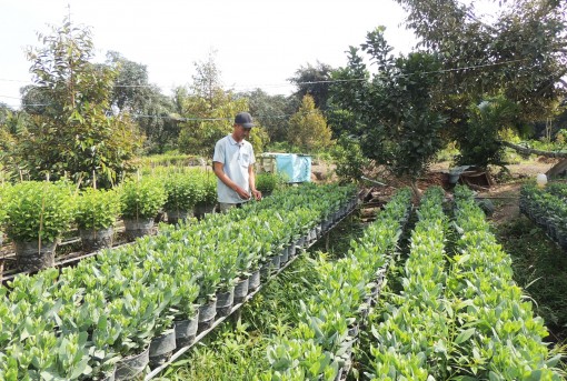 Vượt khó, huy động mọi nguồn lực hoàn thành mục tiêu xây dựng nông thôn mới