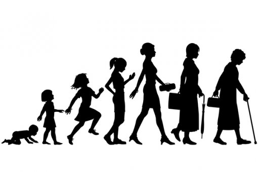 Công cụ giúp tính tuổi của hệ miễn dịch