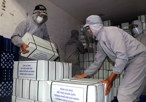 Cà Mau gửi 12 tấn tôm đến với người dân TP Hồ Chí Minh