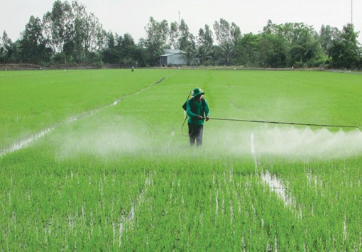 Theo dõi chặt chẽ thông tin dự báo khí tượng, thủy văn, bảo vệ sản xuất nông nghiệp