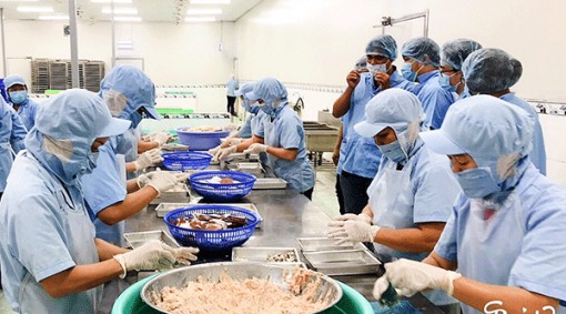 Phát huy vai trò hợp tác xã trong chuỗi cung ứng hàng hóa bình ổn thị trường