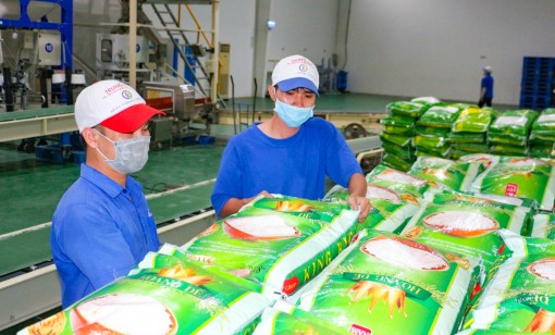 Hợp tác EU - Việt Nam vượt khó trước đại dịch COVID-19