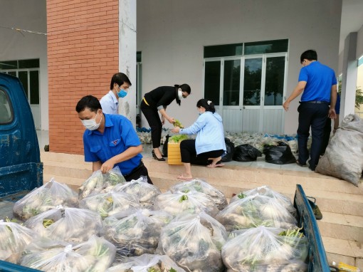 Hỗ trợ tiêu thụ củ cải mùa dịch