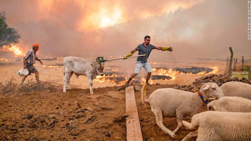 Nam Âu vật lộn với nắng nóng, cháy rừng