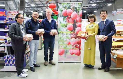 Tăng cường hợp tác Việt - Úc về nông nghiệp