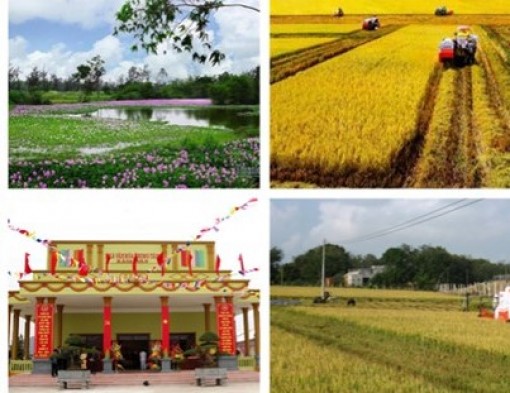 Bố trí hơn 196.000 tỷ đồng thực hiện Chương trình MTQG xây dựng nông thôn mới