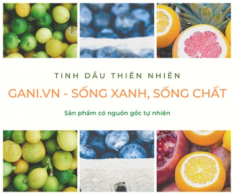 Gani.vn là thương hiệu chính thức của Công Ty TNHH Monome Việt Nam