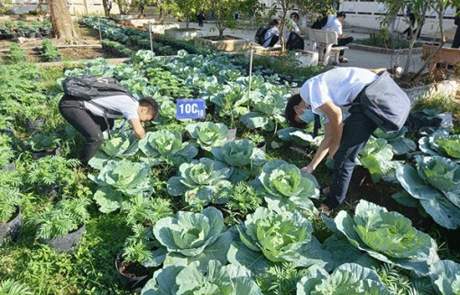 Thực hiện mục tiêu phòng, chống dịch bệnh, trường học an toàn và nâng cao chất lượng giáo dục