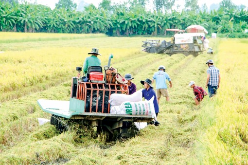 Doanh nghiệp xuất khẩu cần được hỗ trợ vượt qua khó khăn do dịch bệnh