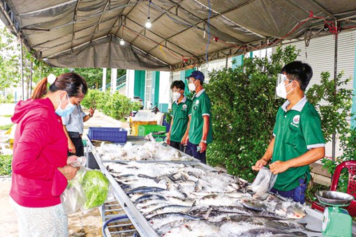 Linh hoạt các giải pháp cung cấp hàng hóa tiêu dùng an toàn