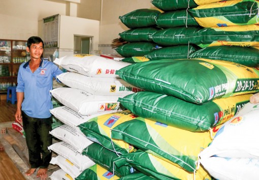 Kéo giảm giá phân bón giúp nông dân giảm chi phí