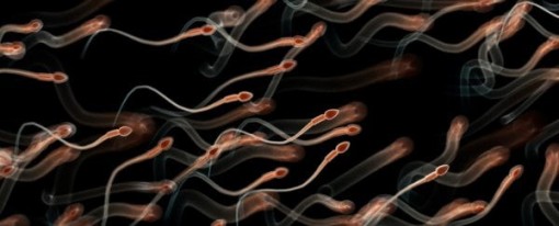 Triển vọng về thuốc tránh thai không nội tiết tố