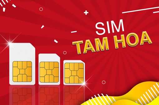 Sim Tam Hoa - Quà tặng ý nghĩa, độc đáo