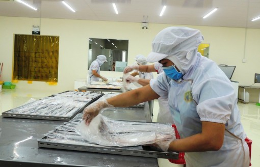 Triển khai thực hiện Đề án phát triển ngành chế biến thủy sản