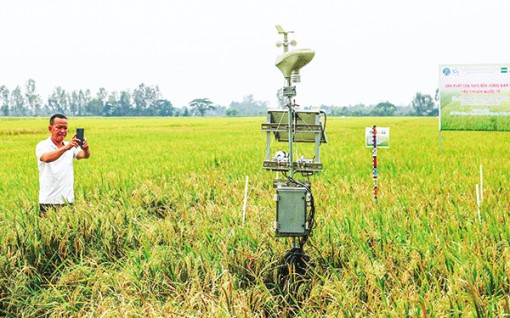 Để thúc đẩy chuyển đổi số