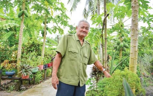 Lão nông nặng lòng với kinh tế tập thể