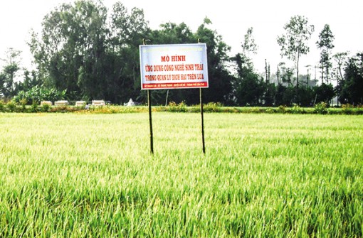 Mô hình công nghệ sinh thái tăng lợi nhuận cho nông dân và bảo vệ môi trường