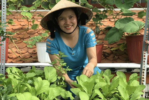 Thêm nguồn thực phẩm sạch nhờ trồng rau tại nhà