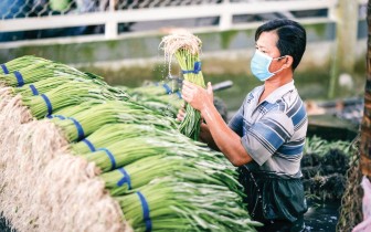 Nhiều kênh hỗ trợ hợp tác xã tiêu thụ nông sản