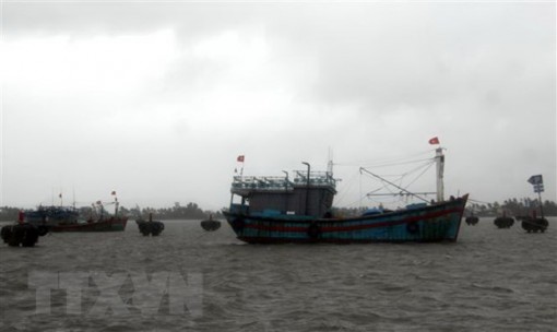Bão số 5 suy yếu thành áp thấp nhiệt đới trên biển Đà Nẵng-Bình Định