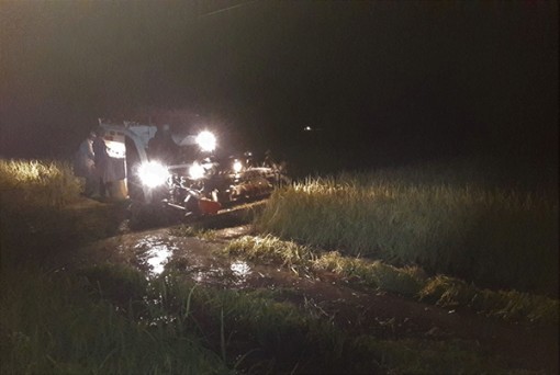 Lo ngập lụt, nông dân Cà Mau thu hoạch lúa trong đêm