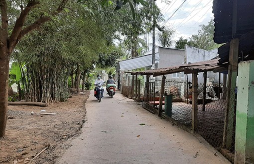 Phối hợp bảo đảm trật tự an toàn giao thông