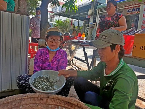 Khan hiếm cá linh non ở đầu nguồn