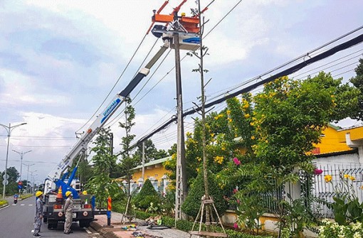 Xây dựng mới đường dây cấp điện dự phòng cho kho dự trữ vaccine COVID-19 
của Quân khu 9