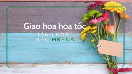 MrHoa - Shop hoa tươi Thành phố Cần Thơ, dịch vụ điện hoa nhanh chóng, đơn giản