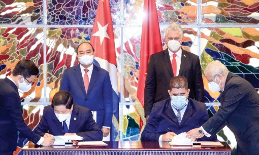 Chủ tịch nước Nguyễn Xuân Phúc hội đàm với Bí thư thứ nhất, Chủ tịch Cuba Miguel Díaz-Canel