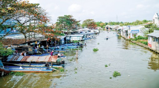 Những chính sách khai khẩn, lập làng mới ở Nam Bộ thời Nguyễn