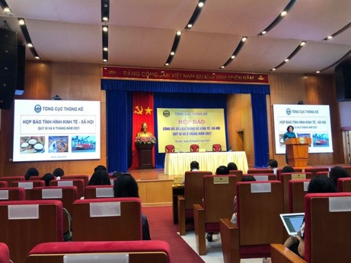 Tổng cục Thống kê: Kinh tế vĩ mô ổn định, an sinh xã hội được bảo đảm