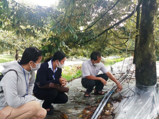 Ứng dụng công nghệ tiên tiến tạo ra nông sản sạch, an toàn