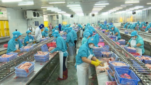 73,7% doanh nghiệp nhận định tình hình sản xuất kinh doanh tốt hơn và giữ ổn định