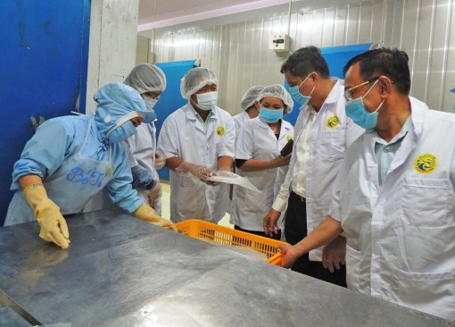 Kiến tạo, phát huy vai trò đội ngũ doanh nhân trong bối cảnh CNH, HĐH và hội nhập quốc tế