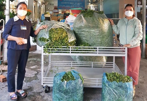 Phát huy vai trò tình nguyện viên công tác xã hội trong bệnh viện