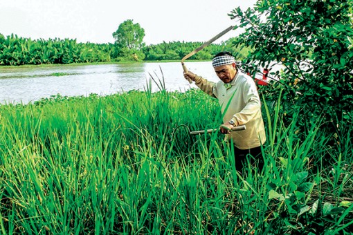 “Phảng kia đương chế cù nèo cà đun quơ...”