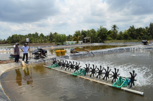 Xuất khẩu tôm kỳ vọng sớm phục hồi