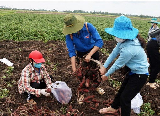 Thanh niên Kiên Giang xung kích trong phòng, chống dịch COVID-19