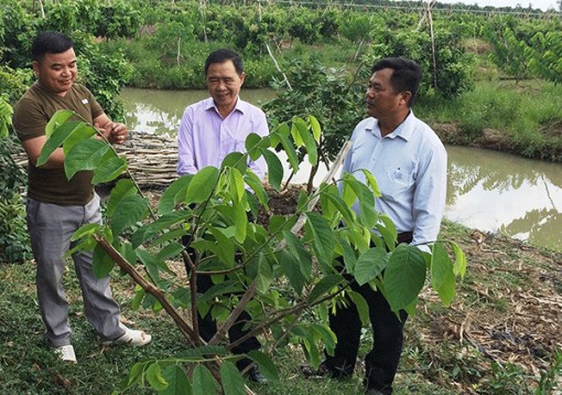 Phát huy vai trò nòng cốt của Hội Nông dân