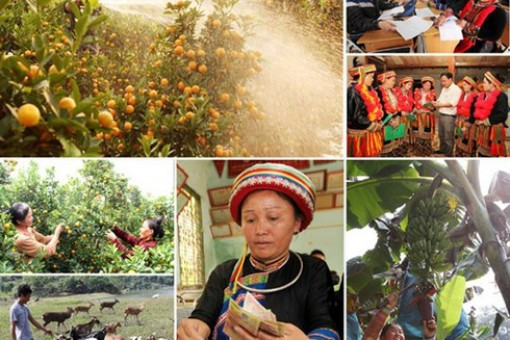 Phê duyệt Chương trình MTQG phát triển kinh tế - xã hội vùng đồng bào dân tộc thiểu số và miền núi