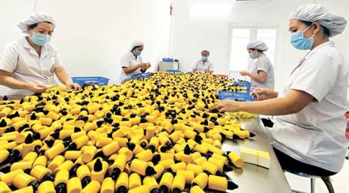 Bình Thủy - Hỗ trợ doanh nghiệp khôi phục sản xuất