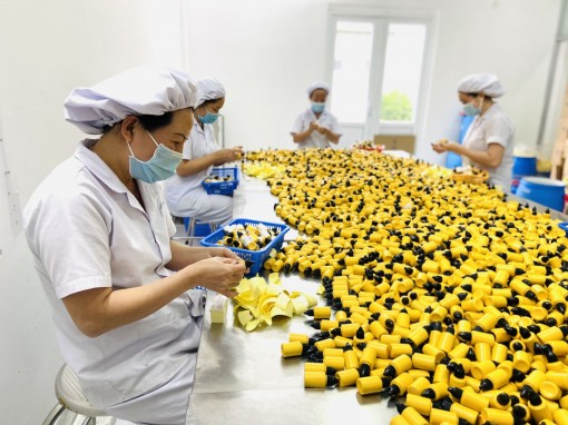 Áp dụng sản xuất thích ứng an toàn linh hoạt phòng, chống dịch COVID-19 theo 4 cấp độ Áp dụng sản xuất thích ứng an toàn linh hoạt phòng, chống dịch COVID-19 theo 4 cấp độ