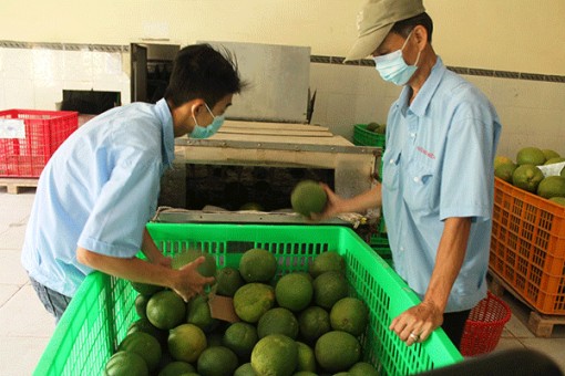 Kết nối giao thương nông, lâm, thủy sản giữa Hà Nội và các tỉnh, thành trong nước