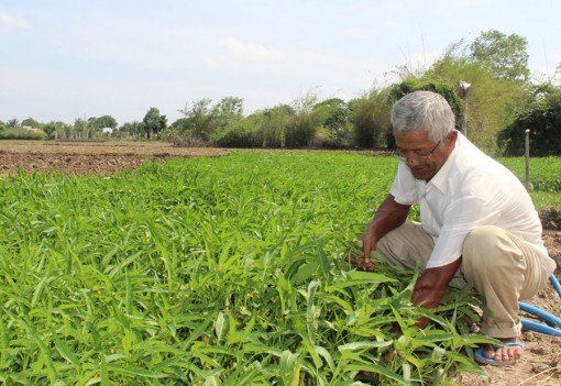 ពង្រីក​ប្រ​សិទ្ធ​ភាព​គោល​នយោ​បាយ​កាត់​បន្ថយ​ភាព​ក្រី​ក្រ