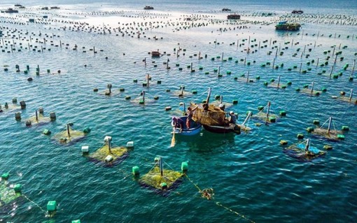 Project on marine aquaculture development till 2030 approved