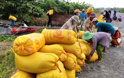 Thới Lai nỗ lực hoàn thành các chỉ tiêu phát triển kinh tế - xã hội