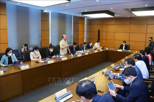 Thảo luận 3 dự án Luật