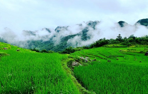 An toàn từ tour du lịch khép kín