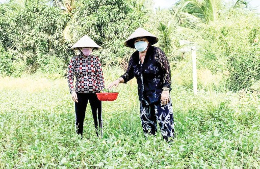 Đổi mới, sáng tạo trong hoạt động